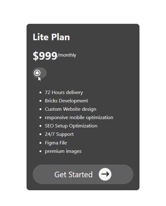 Bricks Builder Toggle Switch